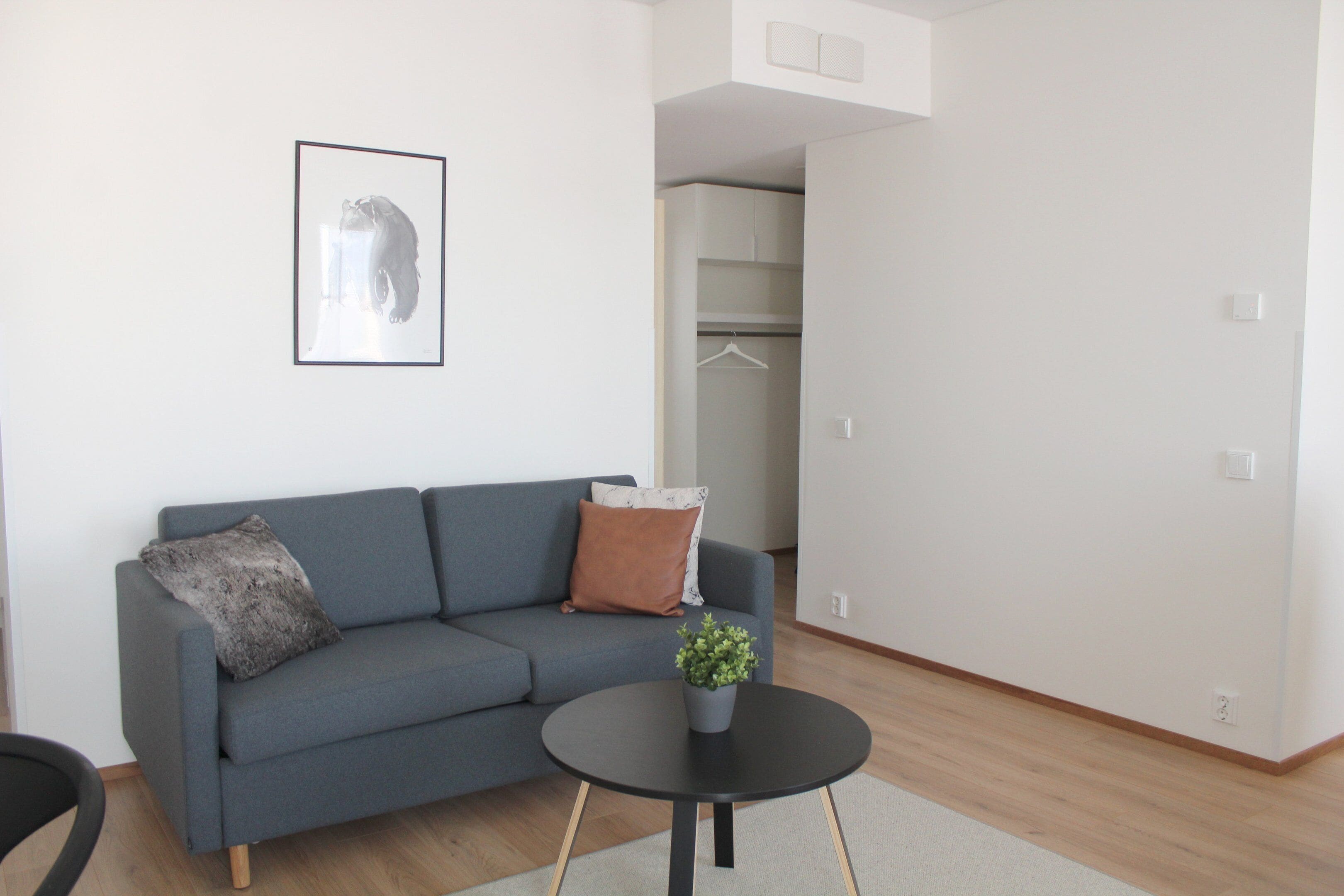 A modern living room with a grey sofa, a round coffee table with a plant, and a framed picture on the wall.