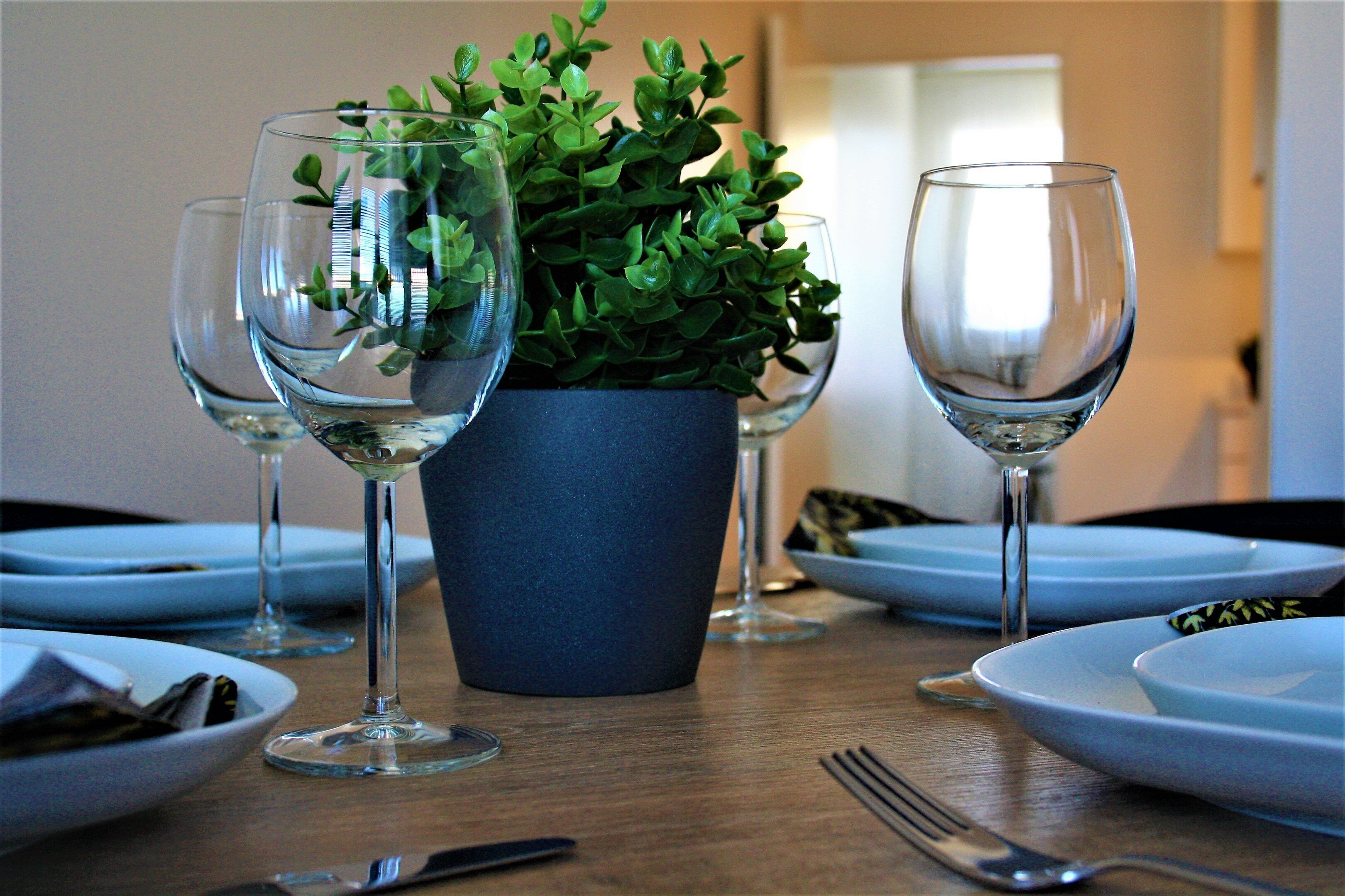 A dining table set with plates, cutlery, and wine glasses, with a potted plant in the center.