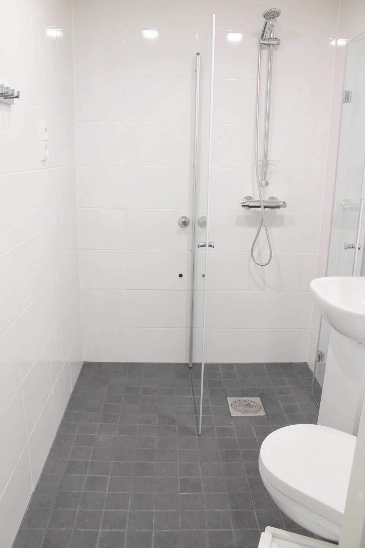 A modern bathroom with a glass shower enclosure, a white toilet, and a sink.