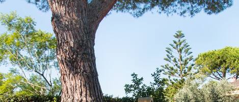 Aire de pique-nique/barbecue