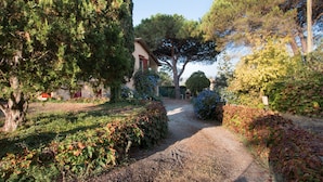 A gravel path leading to a building with a red door, surrounded by trees and shrubs. - Villa Giolù (Portoferraio)