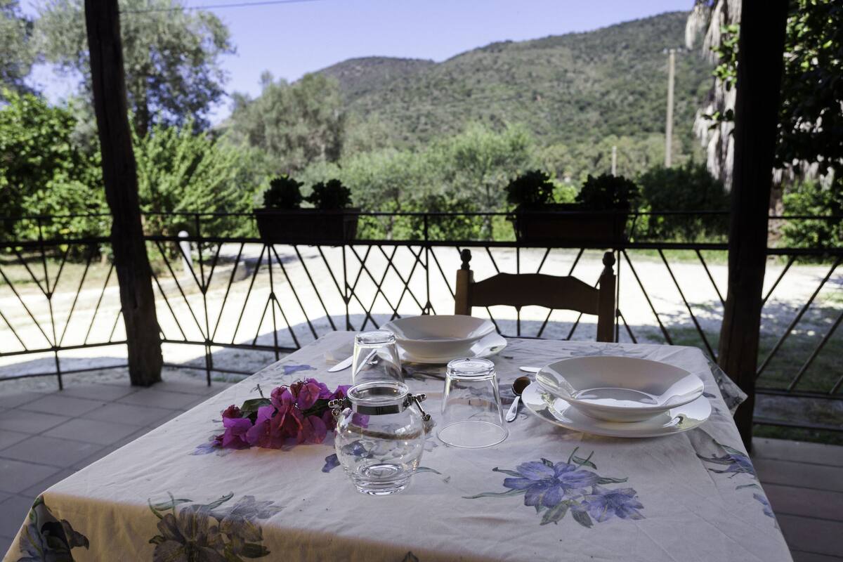 單棟房屋, 2 間臥室 (Casa della Palma) | 露台/庭院