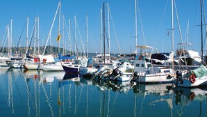 Un port de plaisance où sont amarrés de nombreux voiliers.