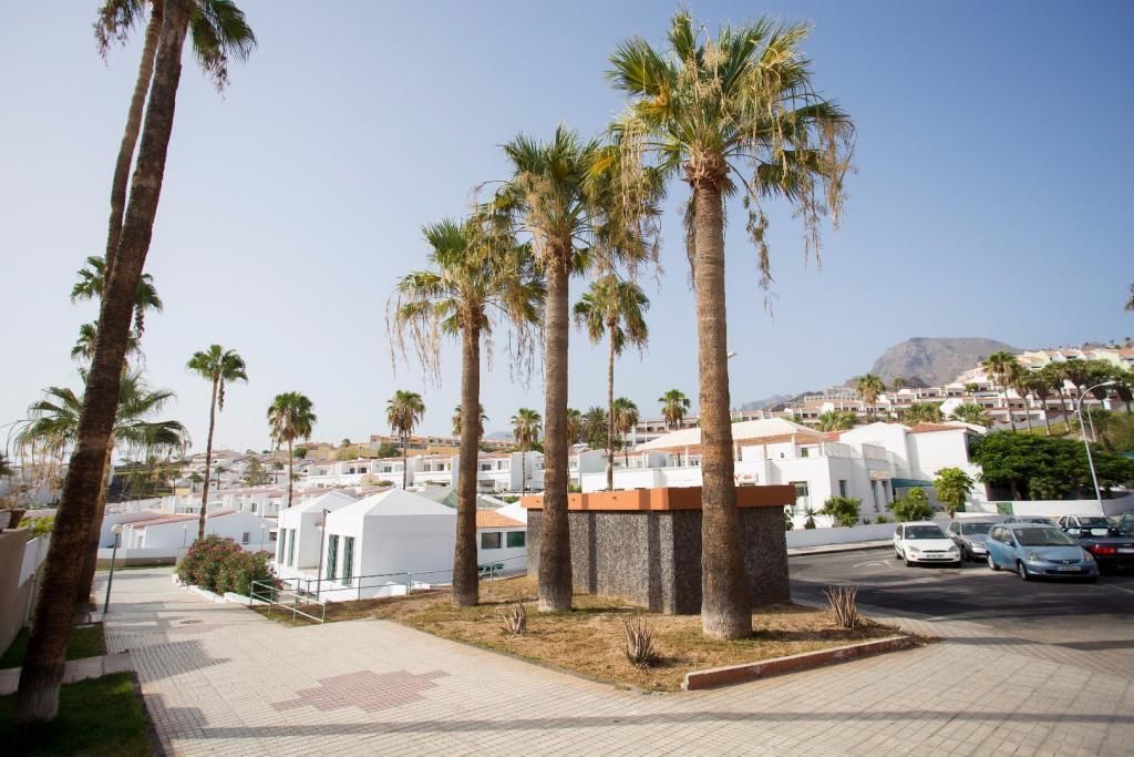 Foto - Island Village