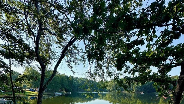 A wooden dock extending into a calm lake surrounded by trees. - Beautiful Lake Views at this Lake Front Camper on Private 25 Acre Lake (Mooresboro)