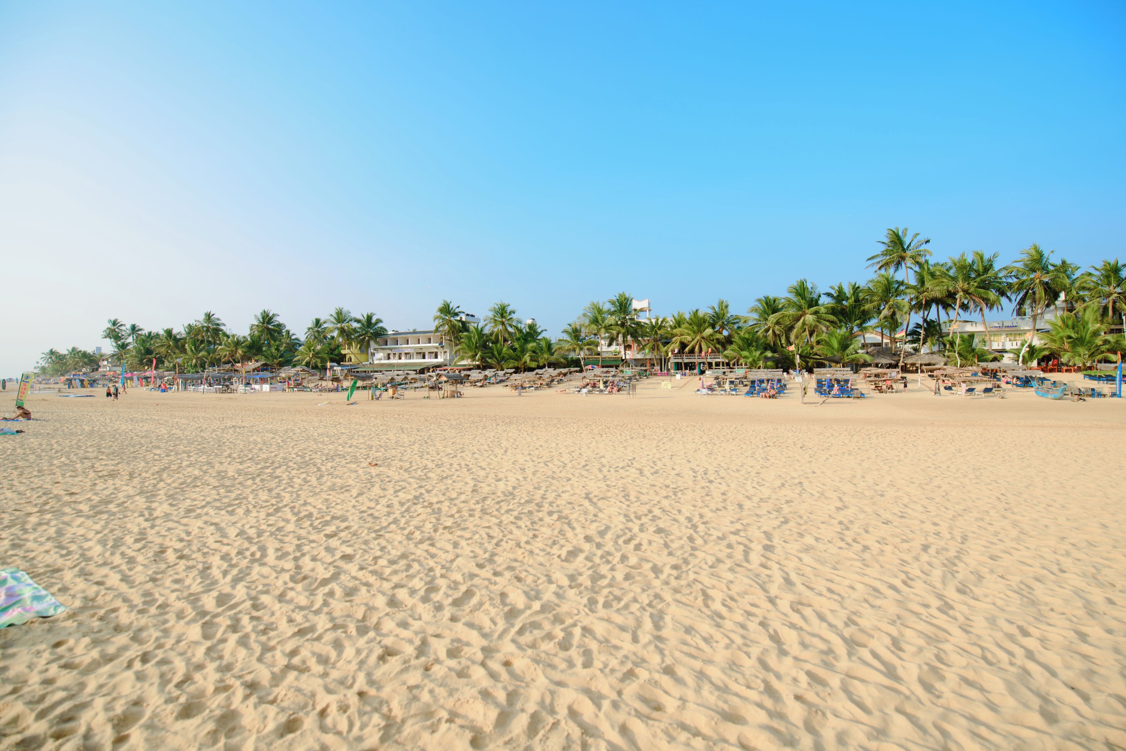 A wide sandy beach with palm trees and beach umbrellas.