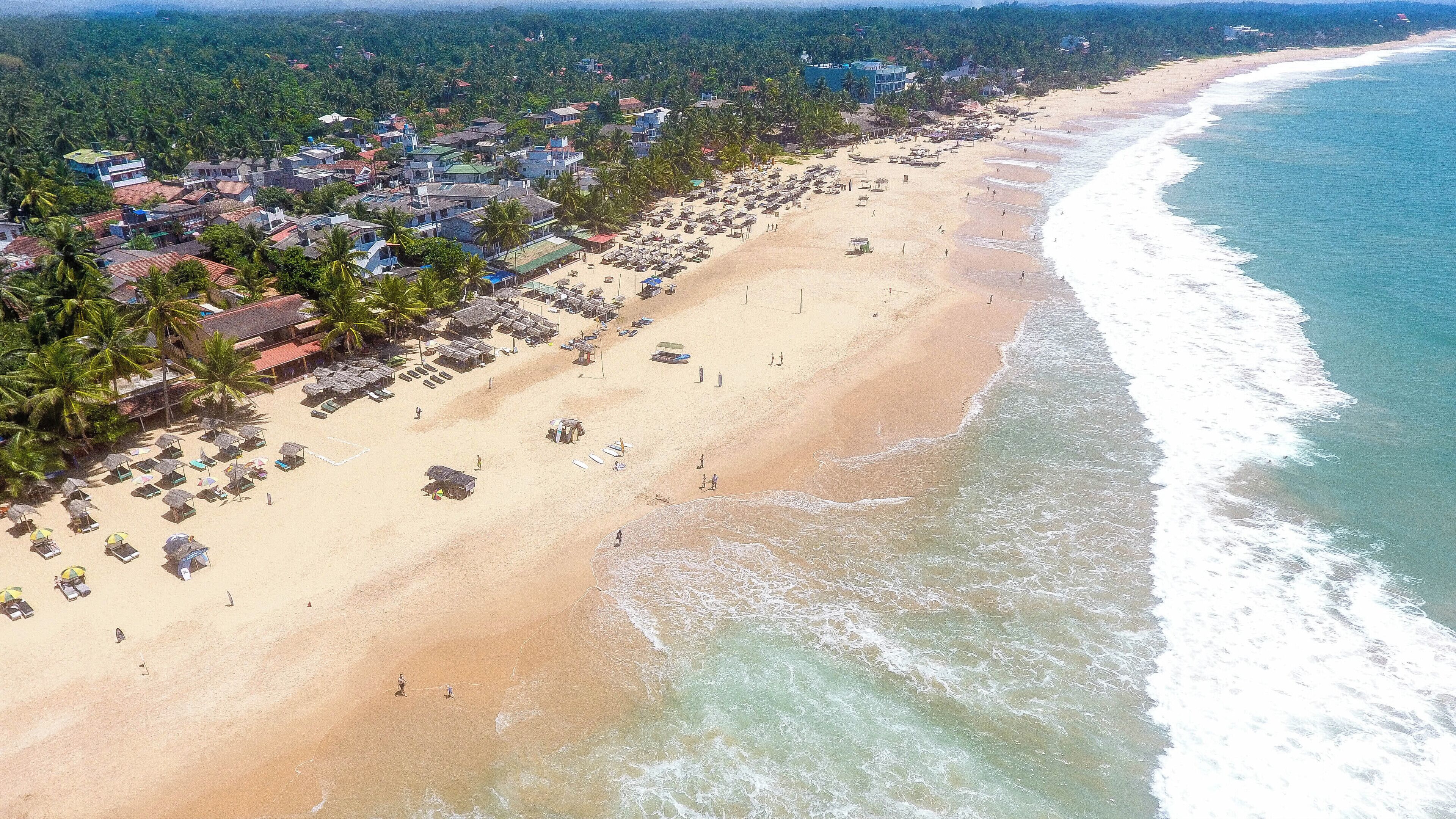 An aerial view of a beach with rows of sun loungers and umbrellas, a sandy shore, and a backdrop of residential buildings and palm trees.