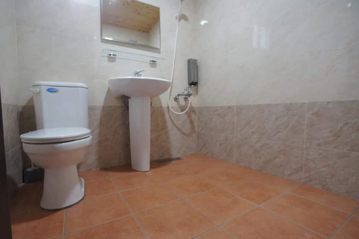 Standard-Doppelzimmer | Badezimmer | Dusche, kostenlose Toilettenartikel, Haartrockner, Hausschuhe