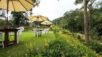庭院