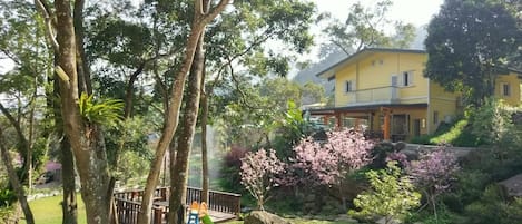 Áreas de la propiedad