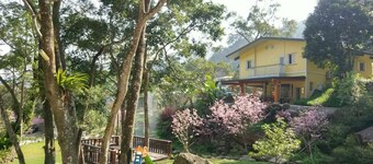 Hemerocallis Country House