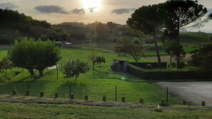 A rural landscape with a small shed, trees, and a field. - Le Mammole (San Miniato)
