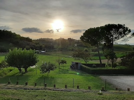 Jardim