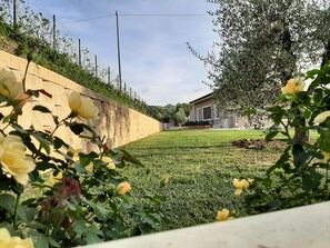 Garden - Le Mammole (San Miniato)