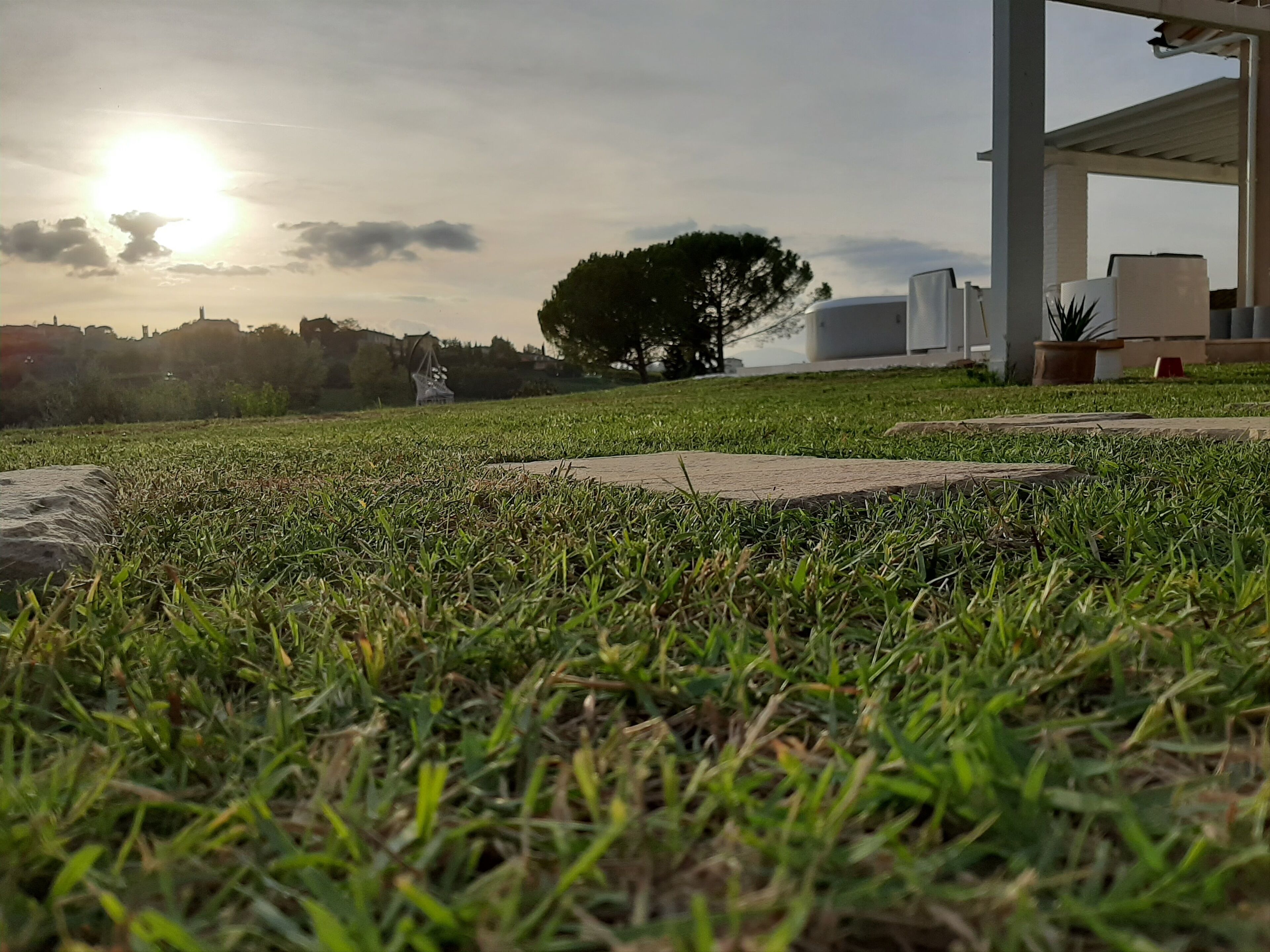 A grassy area with a concrete path, a tree, and a building structure in the background.