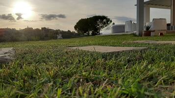 A grassy area with a concrete path, a tree, and a building structure in the background.