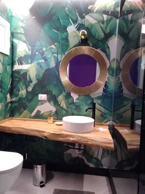 Shower, hair dryer, bidet, towels