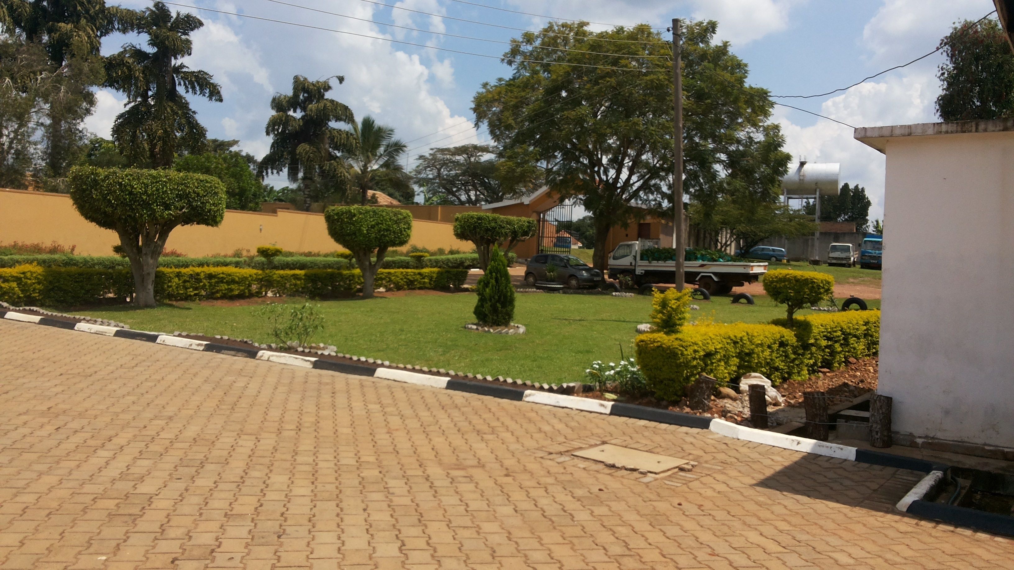 Garden