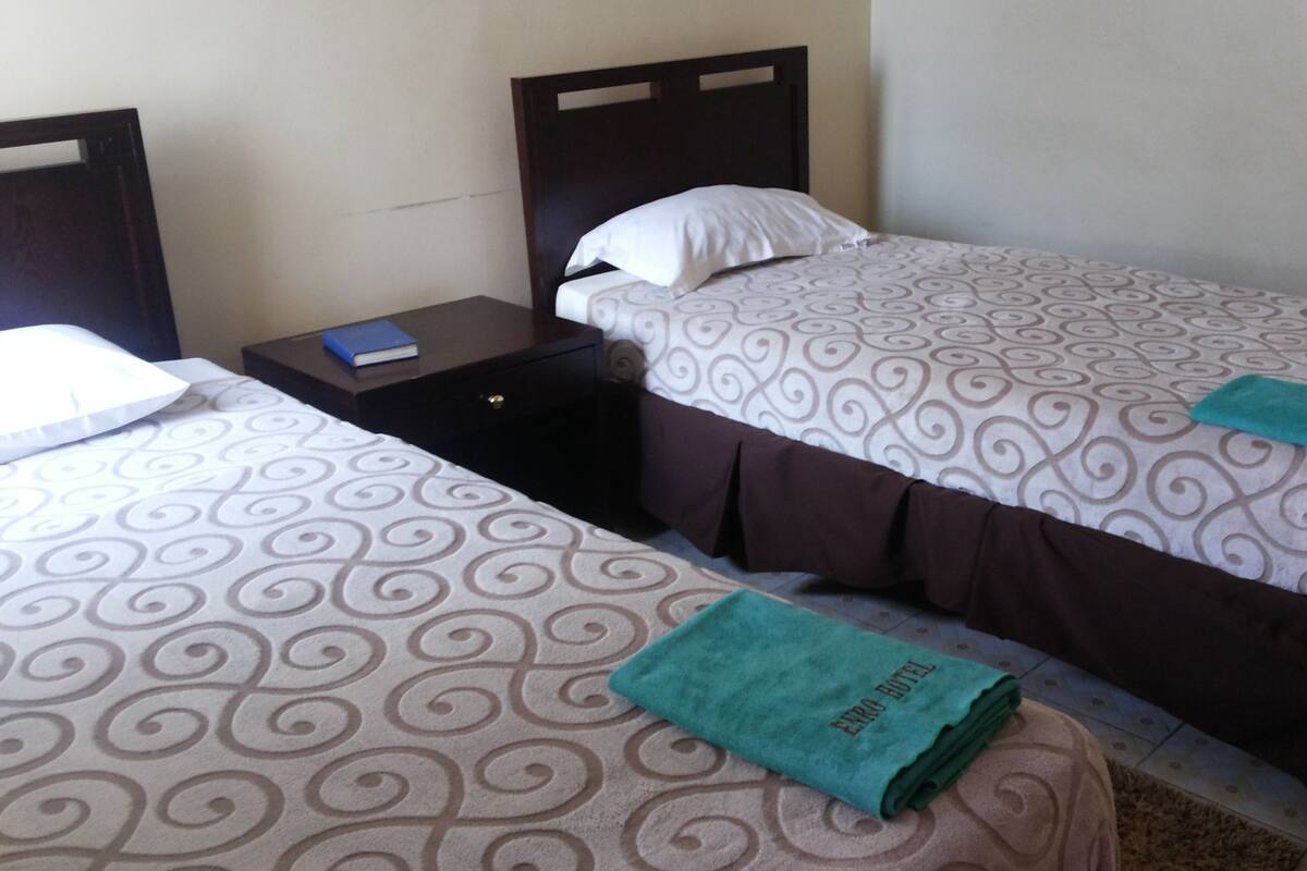Twin Room | Premium bedding, desk, blackout drapes, soundproofing