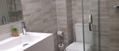 A modern bathroom with a glass shower enclosure, a white sink, and a toilet.