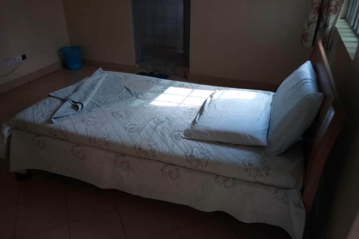 A small, single-bed room with a plain bedspread, a blue trash bin, and a window with sunlight.