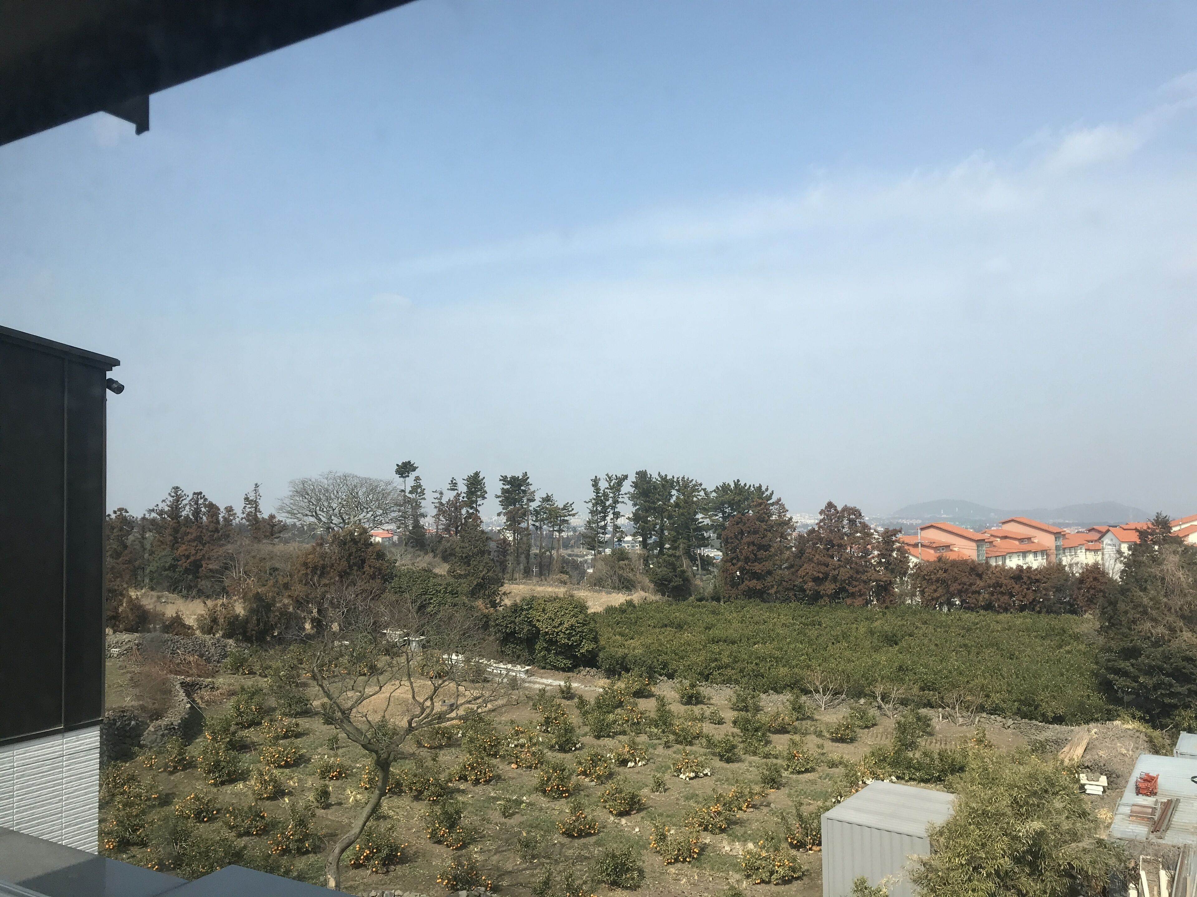 Quang cảnh từ phòng