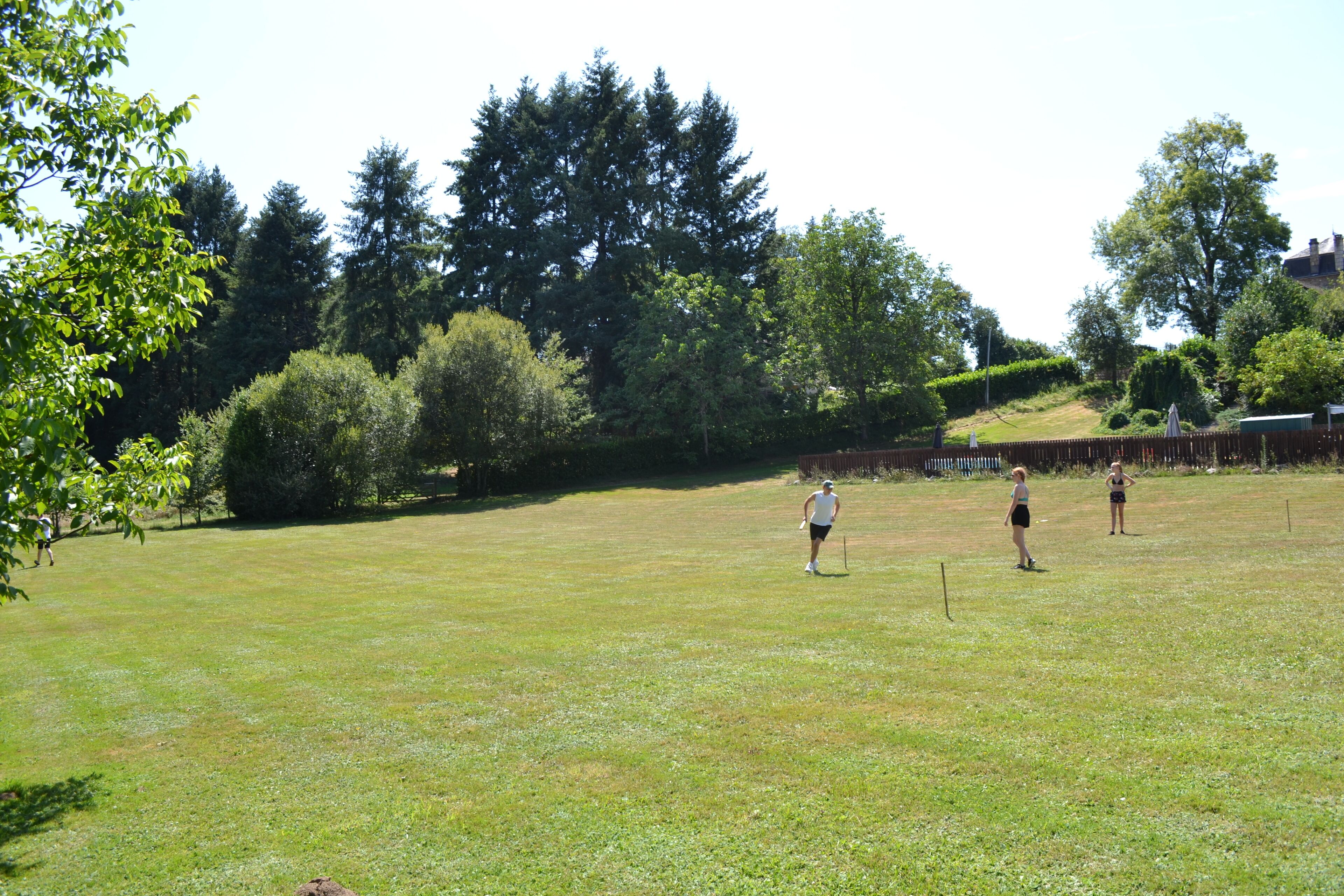 Ein grünes Feld mit Bäumen und einem Zaun im Hintergrund.
