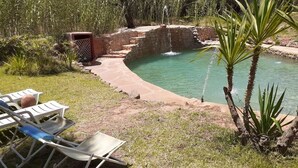 A small outdoor pool with a stone edge, surrounded by grass and plants. There are two lounge chairs and a small table with a coconut on it. - Villa Familliale Jardin Piscine (Marrakech)