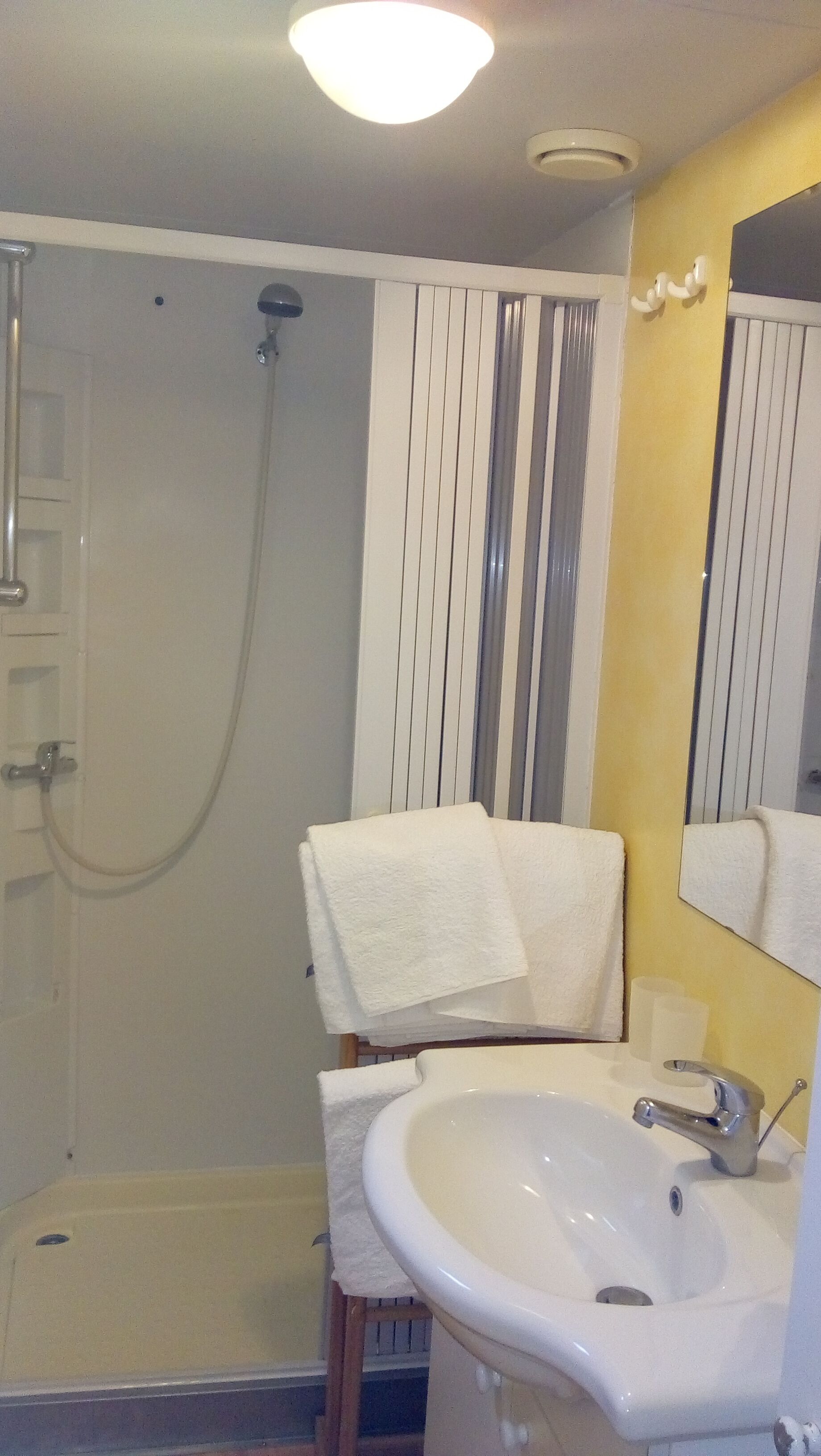 Een badkamer met een douche, wastafel en spiegel.
