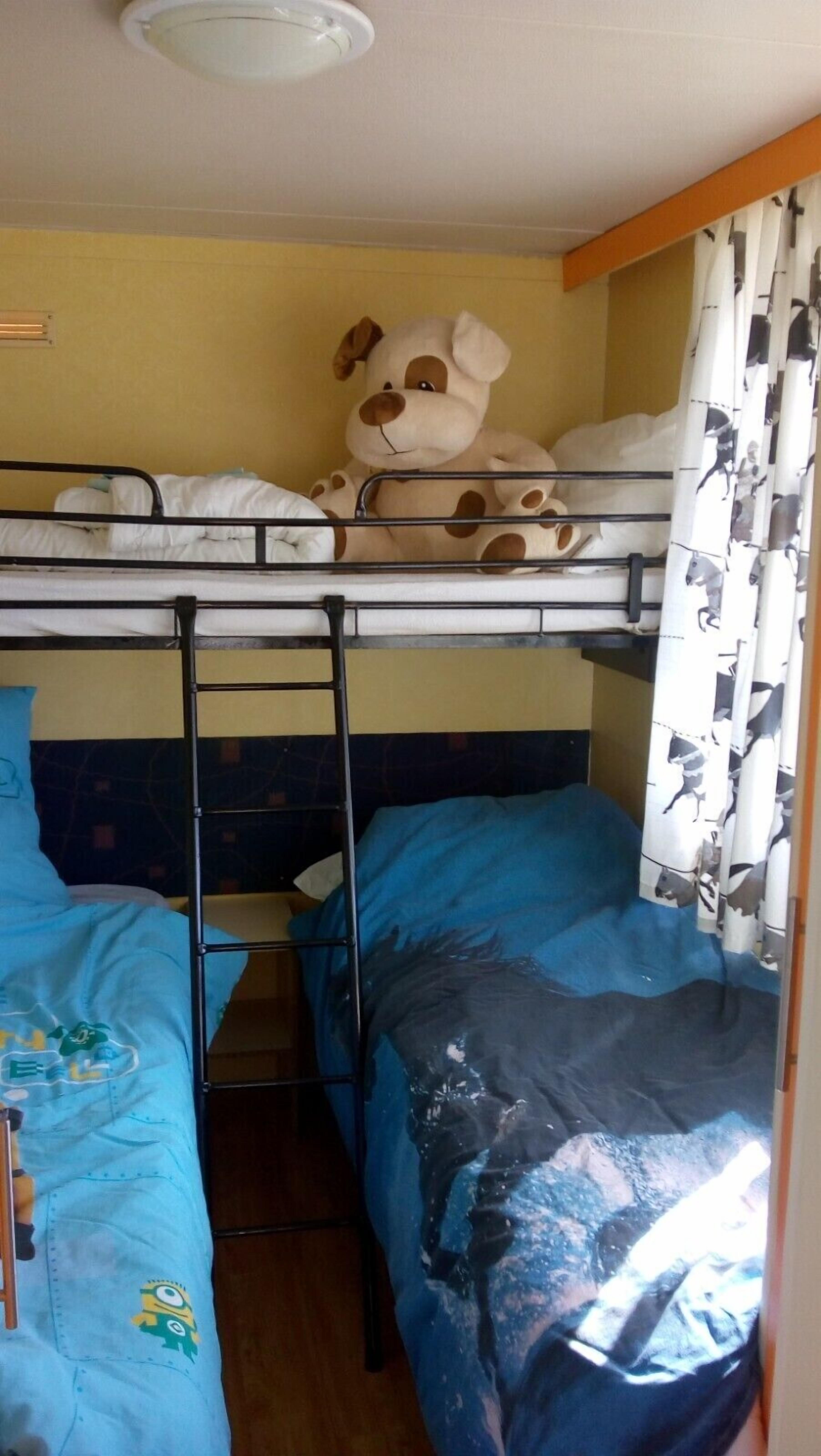 Habitación con literas, un osito de peluche en la litera superior, una colcha azul y una cortina con estampados de animales.