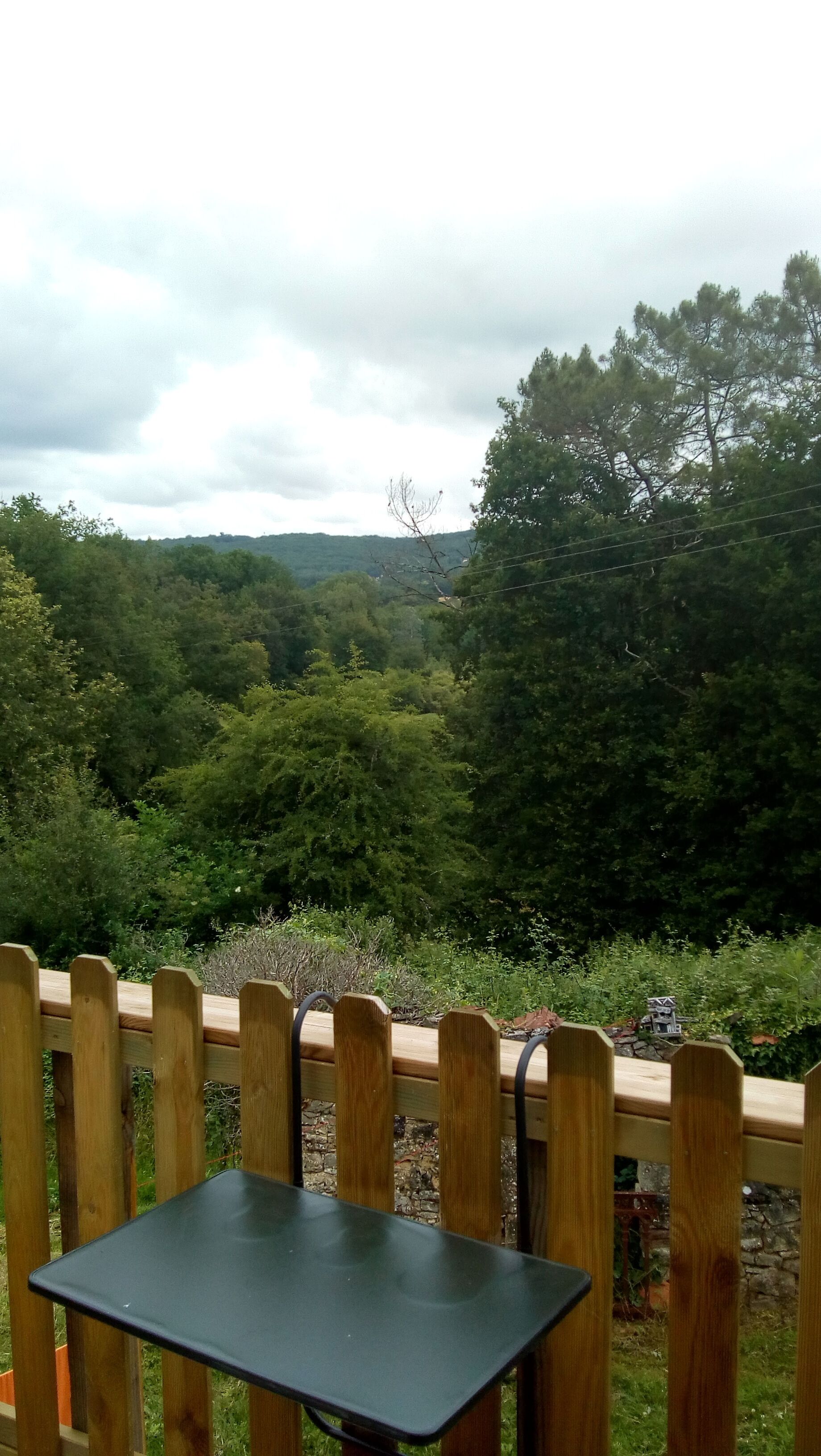 Une table avec vue sur un paysage boisé.