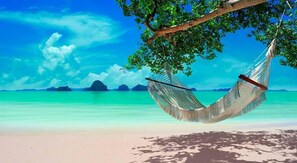 Playa en los alrededores 