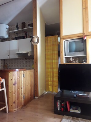 Cozy living space with a kitchenette, television, and bookshelf.