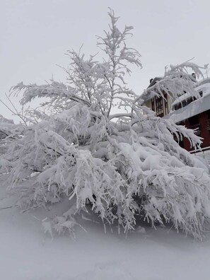 Stunning winter scene in front of a traditional building with a sloped roof and chimney.