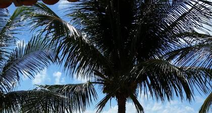 Pousada Mama Pereira