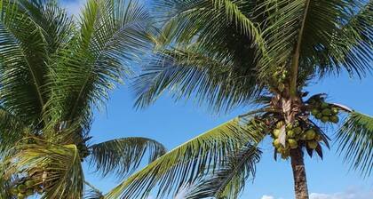 Pousada Mama Pereira