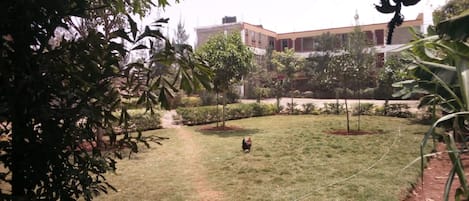 Jardim