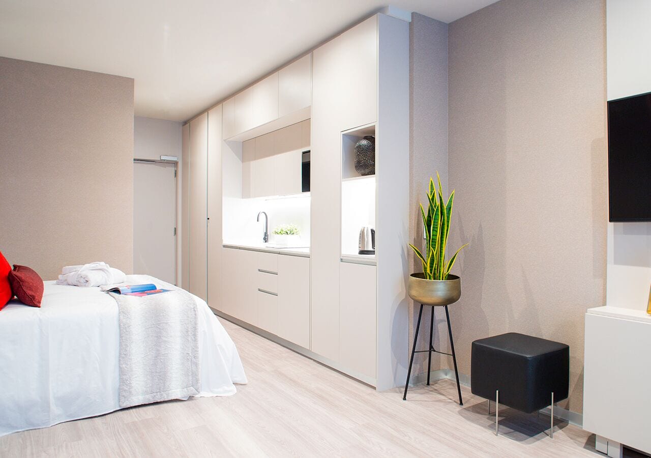 Een moderne hotelkamer met een bed, een kleine keukenunit, een potplant en een zwart voetenbankje.