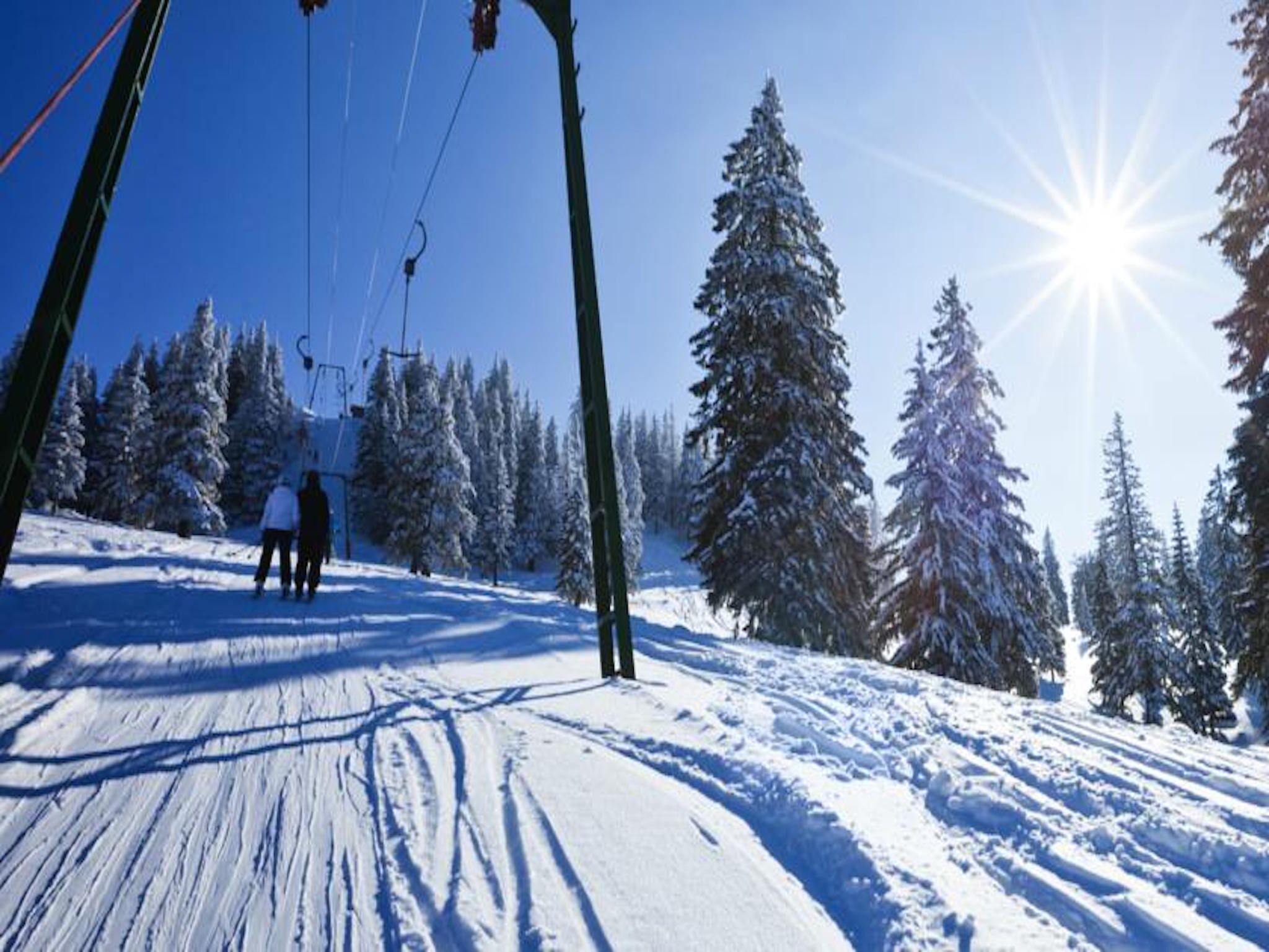 Une piste de ski sous un ciel dégagé, avec un soleil éclatant, et entourée d’arbres couverts de neige.