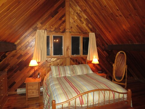 Cozy Chalet Suisse #004