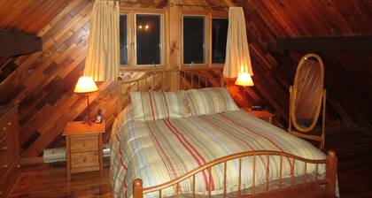 Cozy Chalet Suisse #004