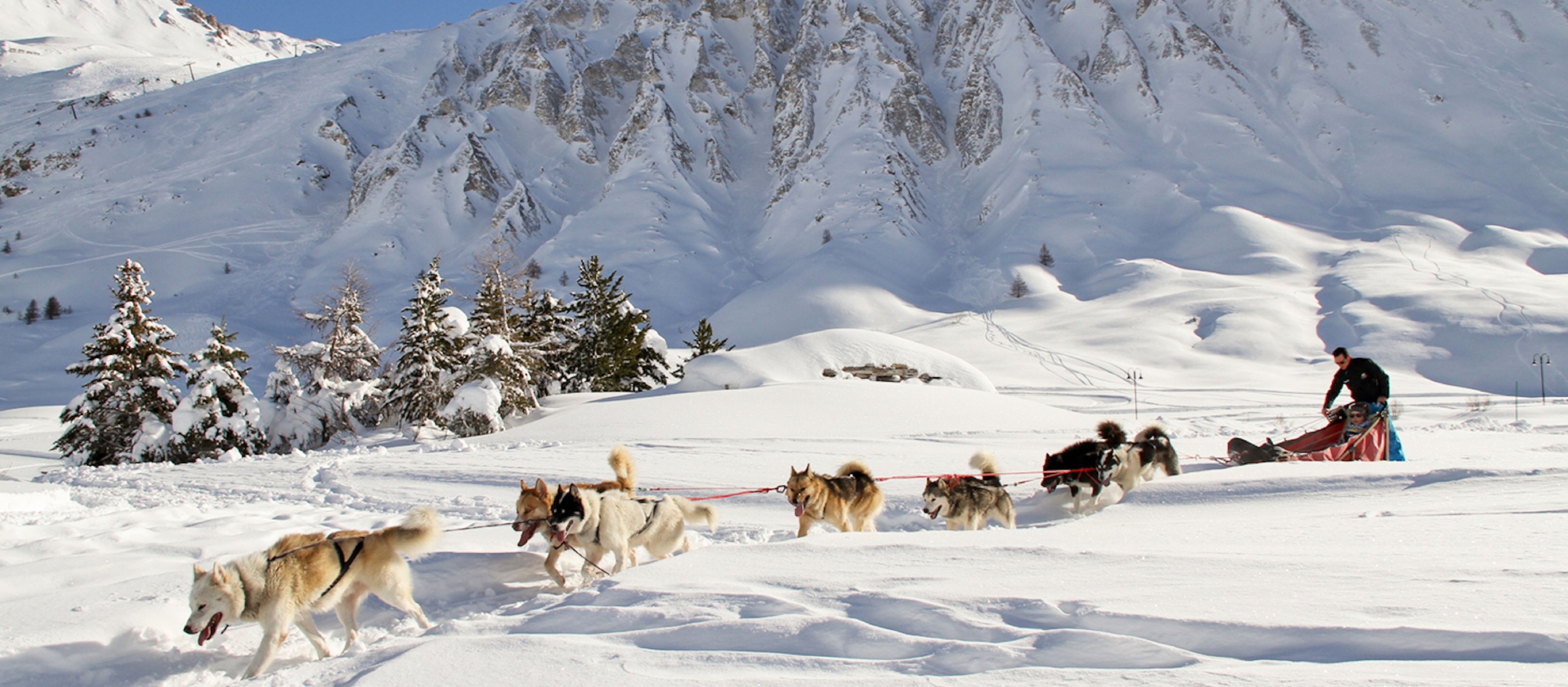 A group of sled dogs pulling a sled across a snowy landscape with a mountainous backdrop.