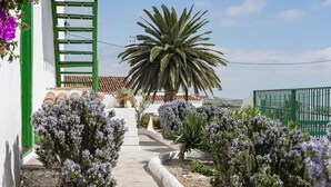 A pathway leading to a building with a green door and white walls, surrounded by purple flowering plants and a palm tree. - Casa Rural La Capellania Tenerife, Casa Verde (Granadilla)