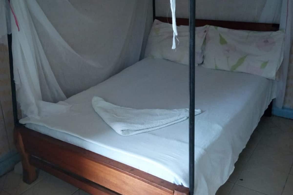 Single Room | Desk, free WiFi, bed sheets