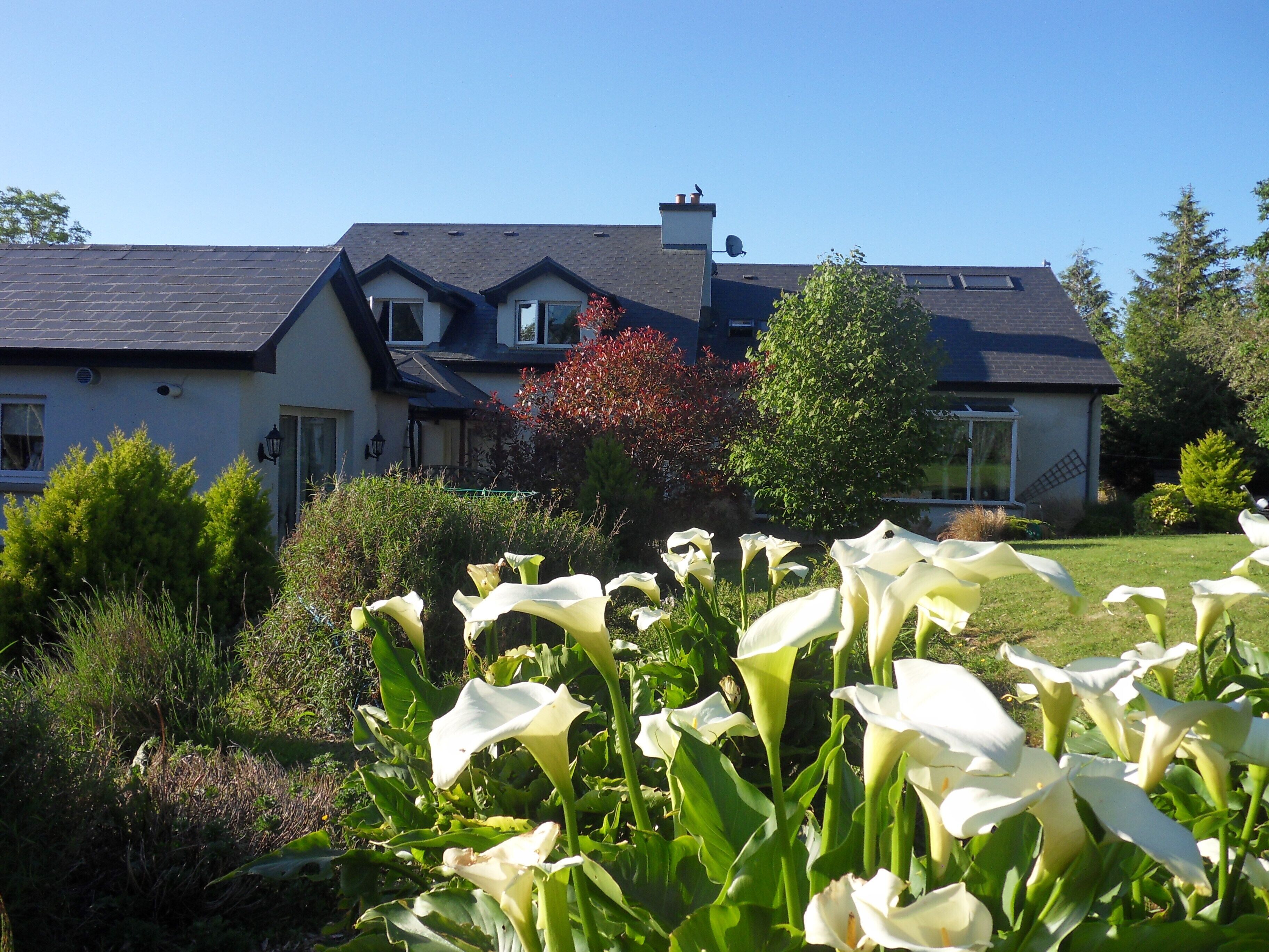 Rear view of the garden including garden