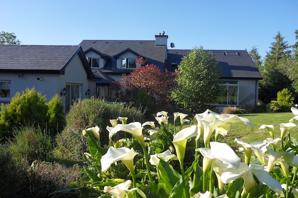 Rear view of the garden including garden