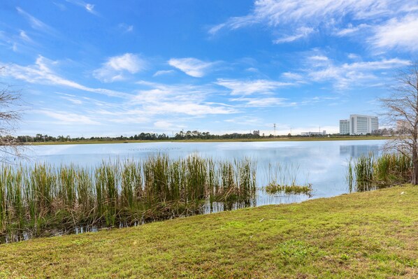 A large body of water with grassy banks and tall reeds. In the background, there is a modern building with a flat roof and multiple windows.