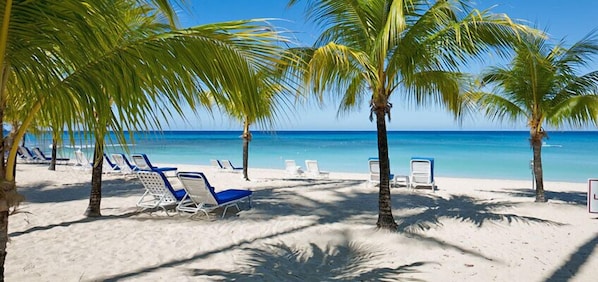 Plage à proximité