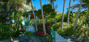 Property grounds - Villa Aliseo (Holetown)