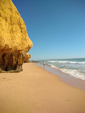 Plage à proximité, chaises longues